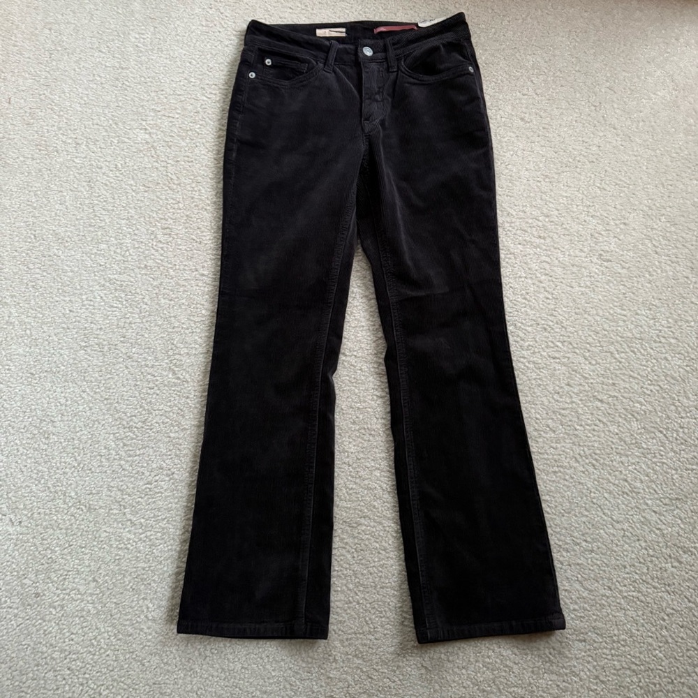 NWT Pilcro corduroy bootcut pants